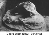 Bild von zu P3 Ein sich leckender Hund